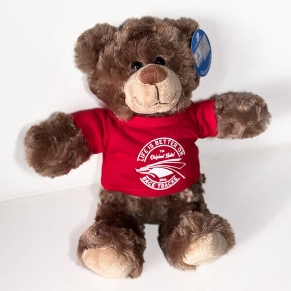 Teddy bear NICO - Lifeisbetteronracetracks